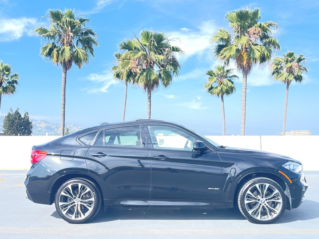 2019 BMW X6 Image 32