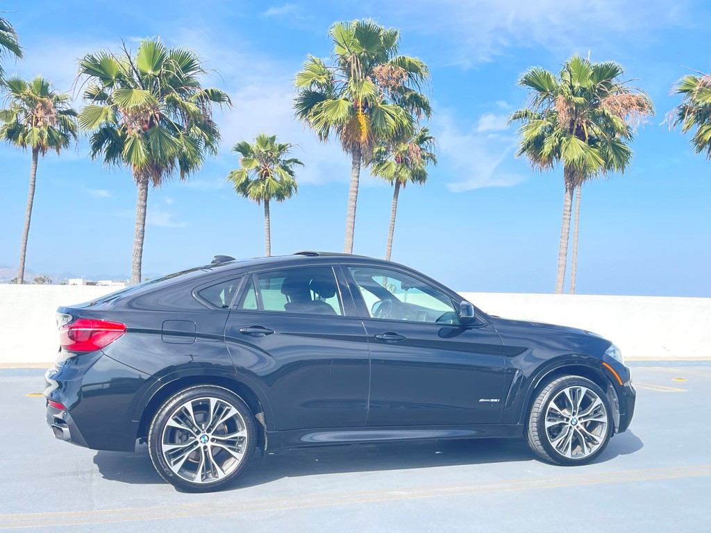 2019 BMW X6 Image 33