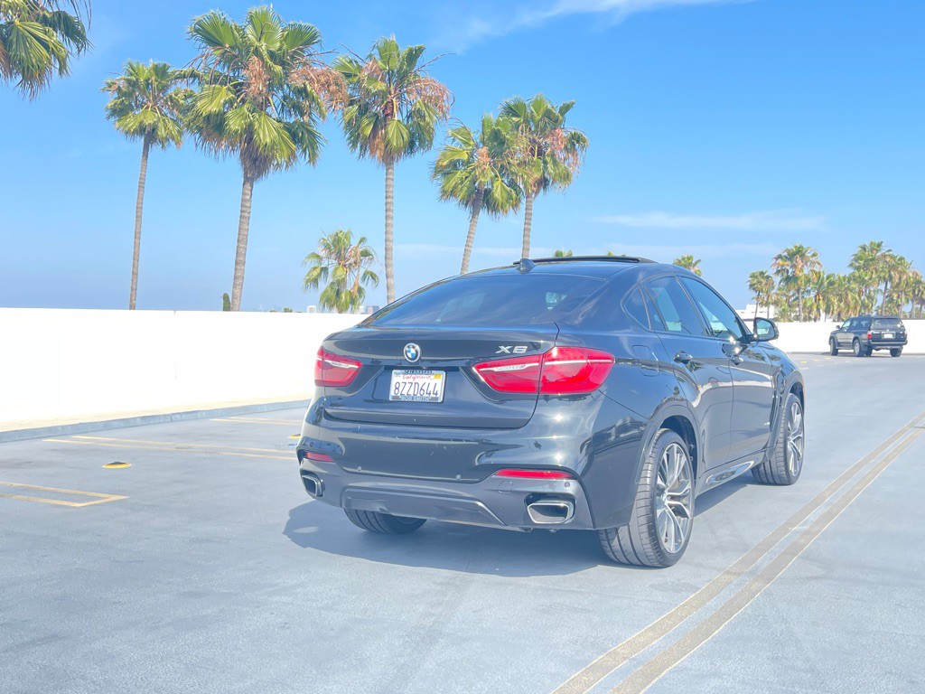 2019 BMW X6 Image 35