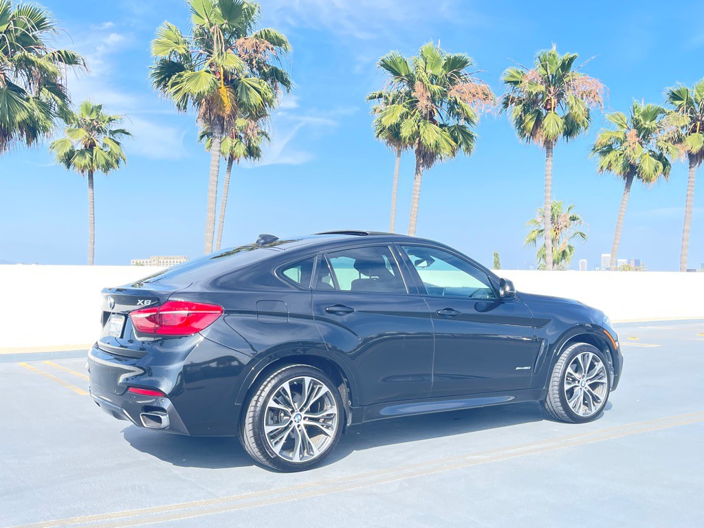 2019 BMW X6 Image 35