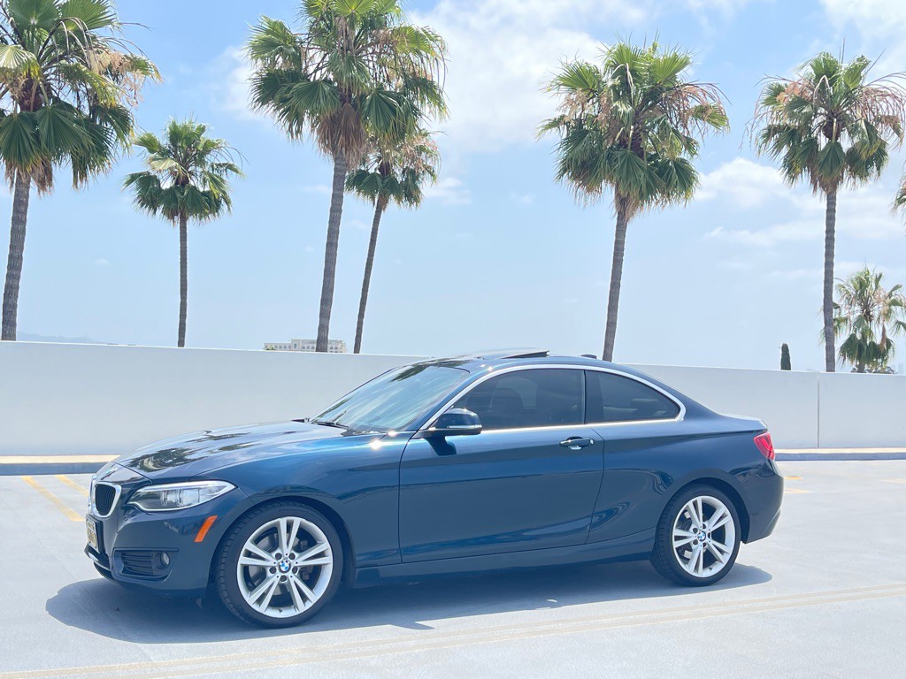 2015 BMW 2 Series Image 19