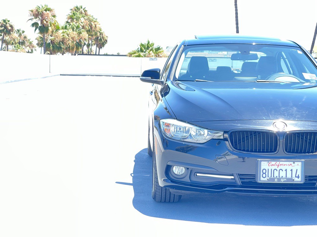 2016 BMW 3 Series Image 19