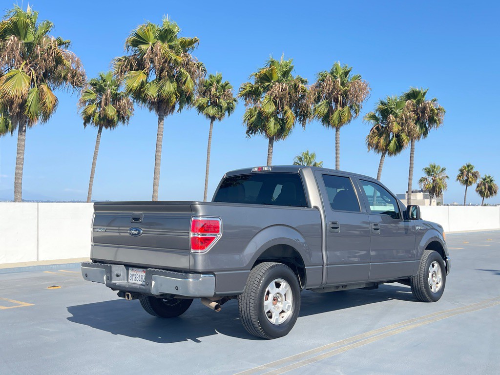 2010 Ford F-150 Image 2