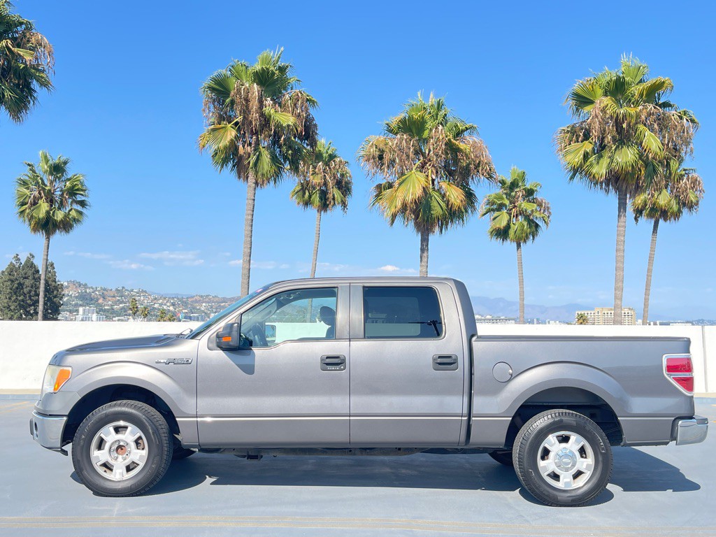 2010 Ford F-150 Image 4