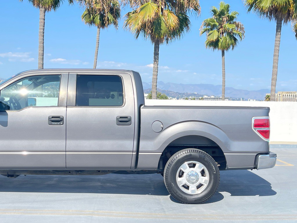 2010 Ford F-150 Image 6