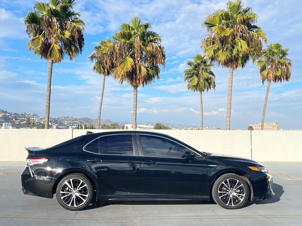 2020 Toyota Camry Image 6