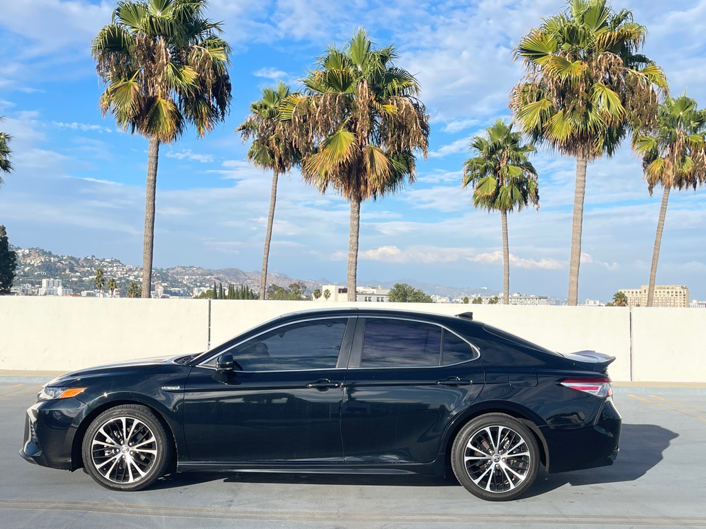 2020 Toyota Camry Image 7