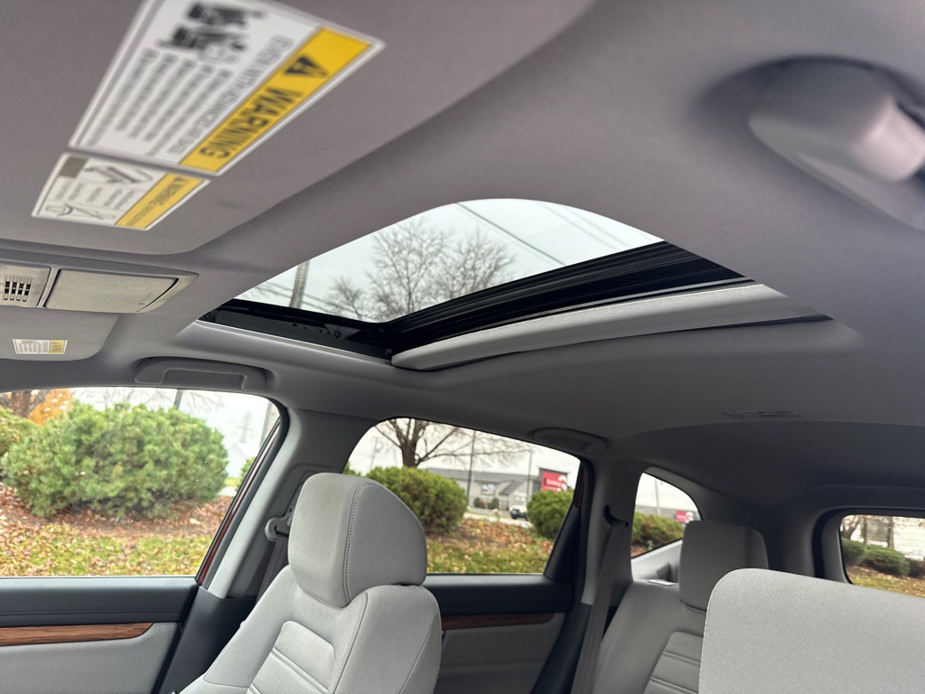 2019 Honda CR-V Image 7