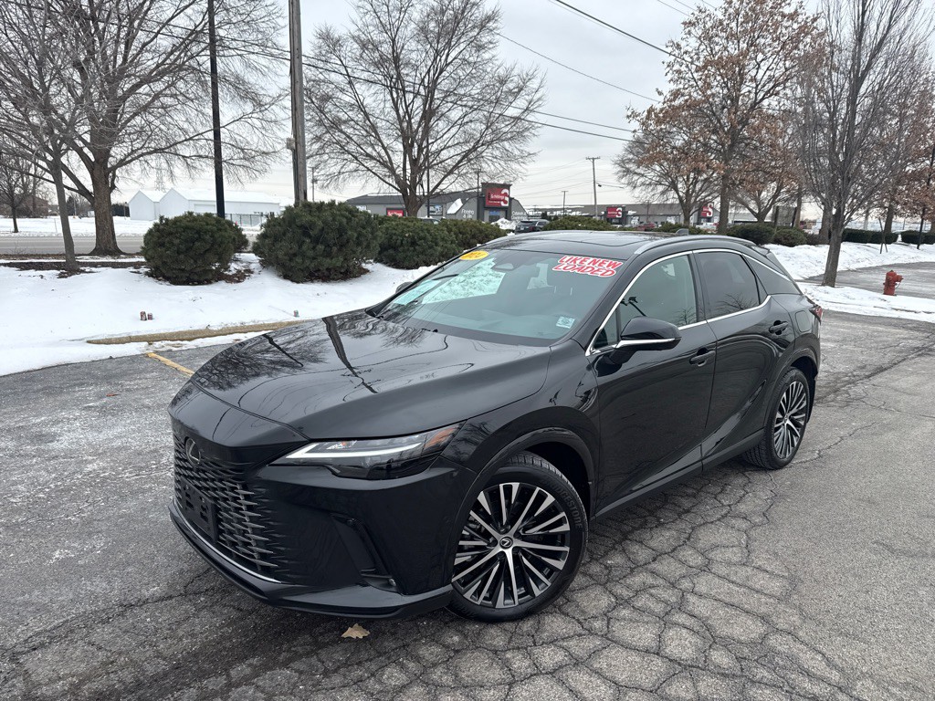 2024 Lexus RX Image 19