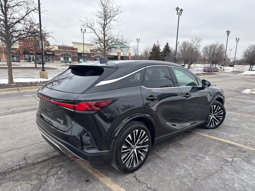 2024 Lexus RX Image 20