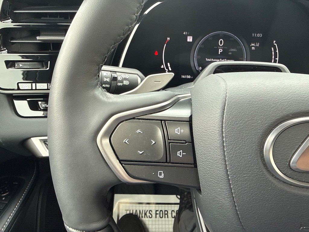 2024 Lexus RX Image 29