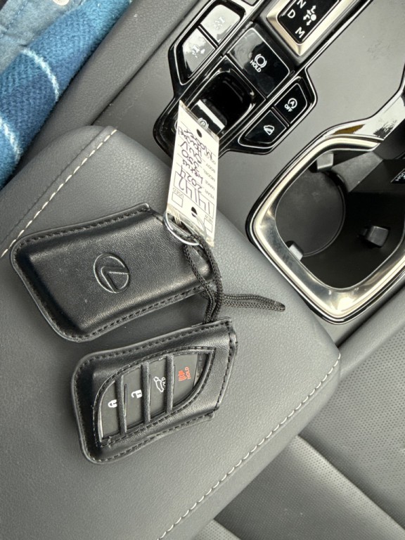 2024 Lexus RX Image 35