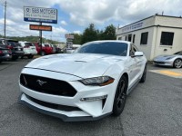 Image for 2020 Ford Mustang GT Premium Fastback ID: 6733978