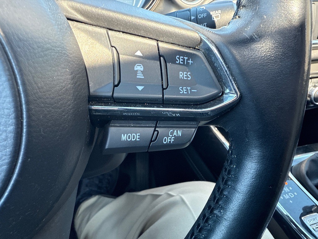 2017 Mazda CX-9 Image 18