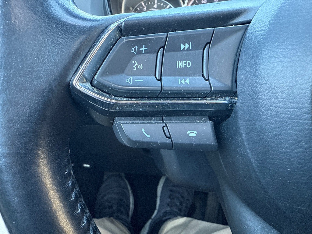 2017 Mazda CX-9 Image 19