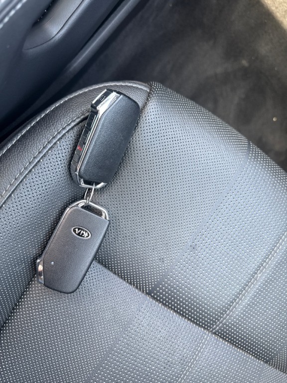 2020 Kia Telluride Image 20