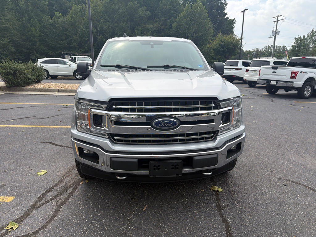 2019 Ford F-150 Image 3