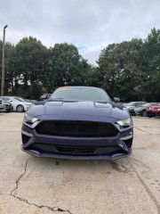 Image for 2019 Ford Mustang EcoBoost Fastback ID: 7531391
