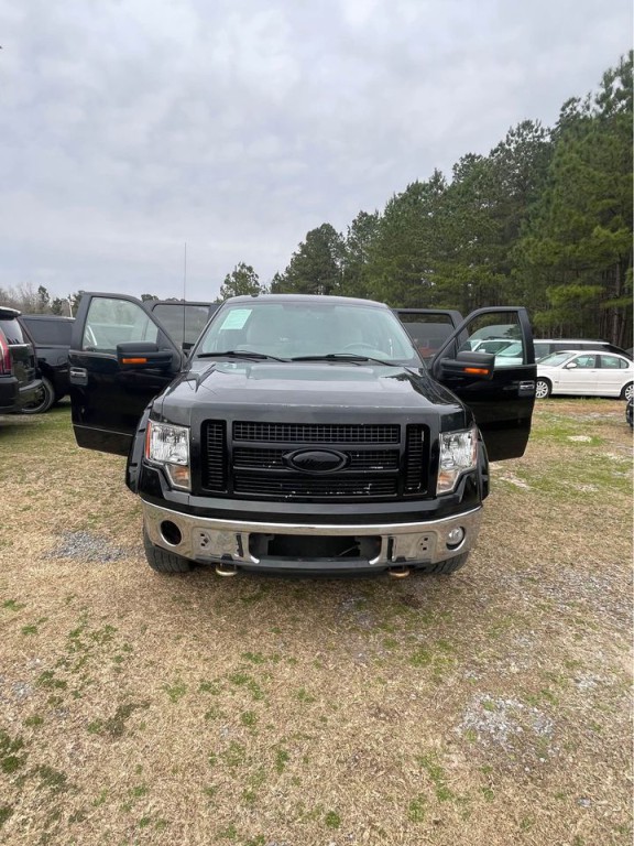 2010 Ford F-150 Image 1