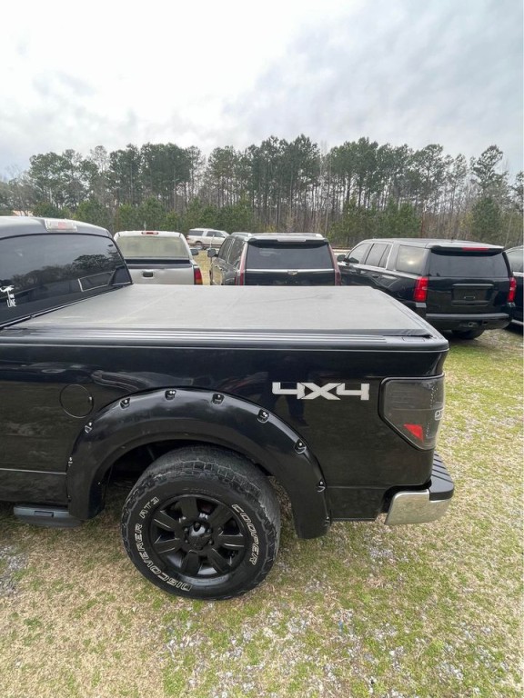 2010 Ford F-150 Image 2