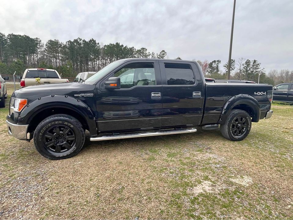 2010 Ford F-150 Image 4
