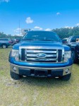 Image for 2009 Ford F-150 Supercrew ID: 6886369