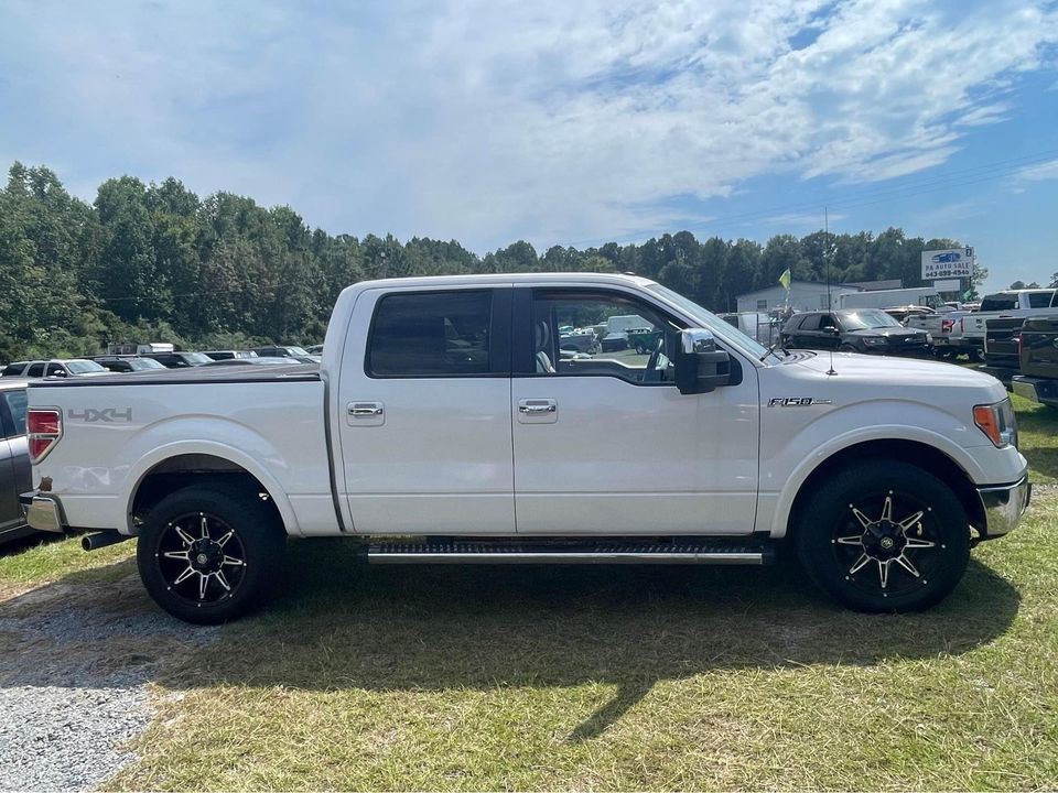 2010 Ford F-150 Image 3