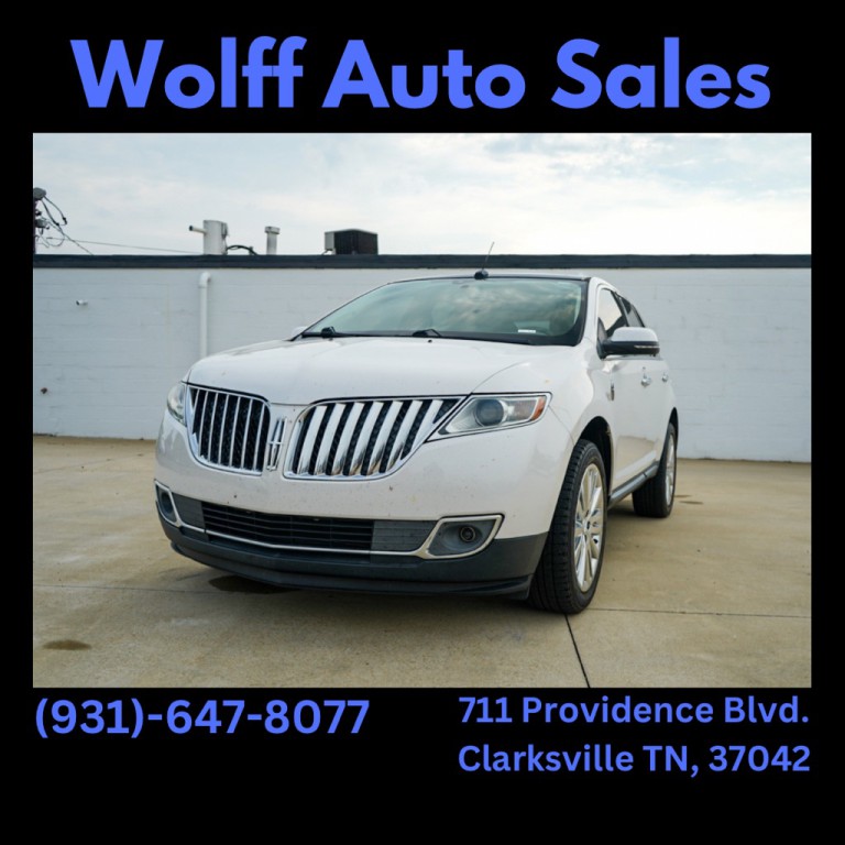 2014 Lincoln MKX Image 1