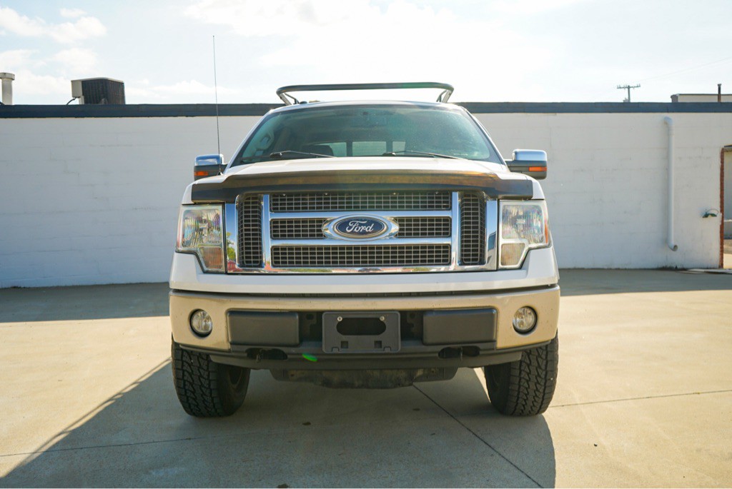 2010 Ford F-150 Image 3