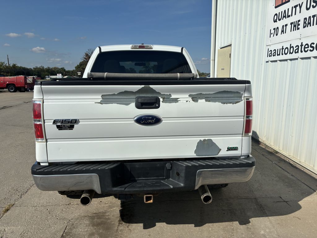 2010 Ford F-150 Image 3