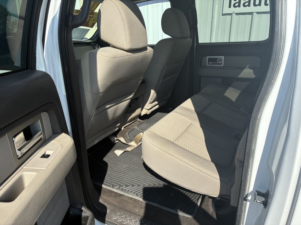 2010 Ford F-150 Image 5