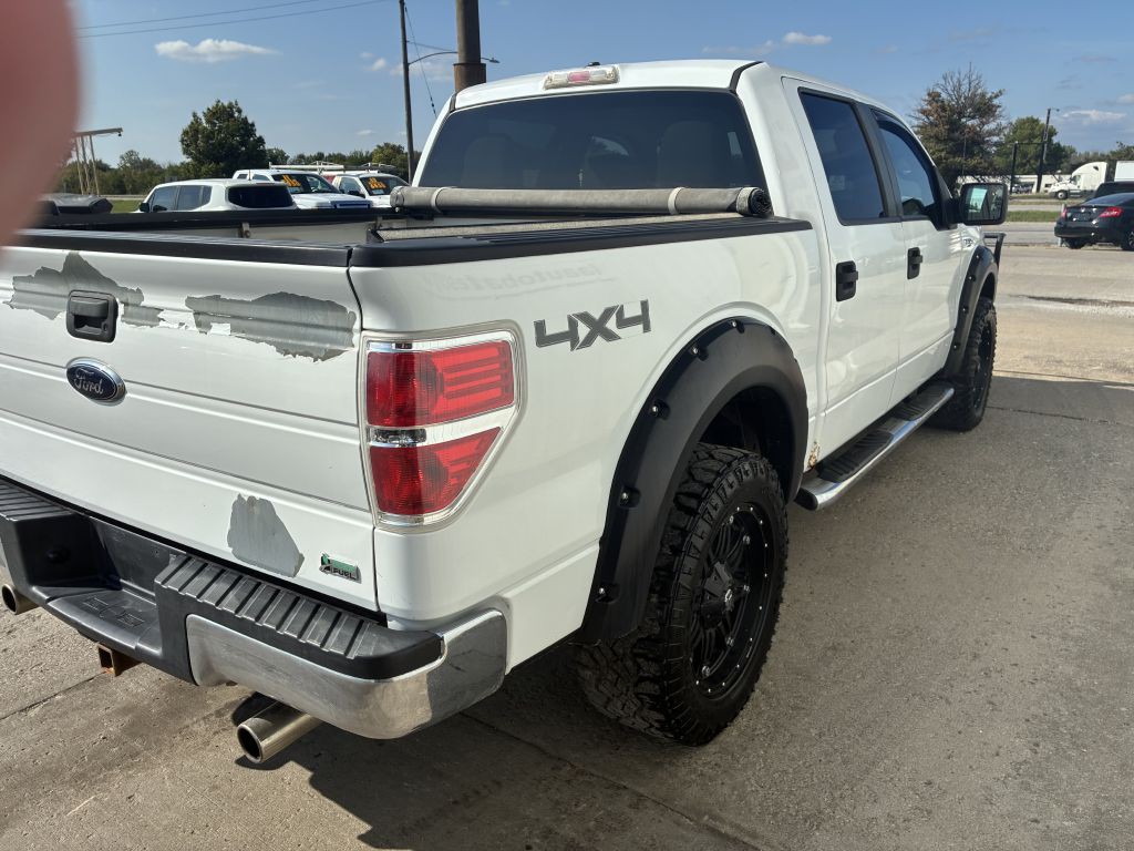 2010 Ford F-150 Image 9