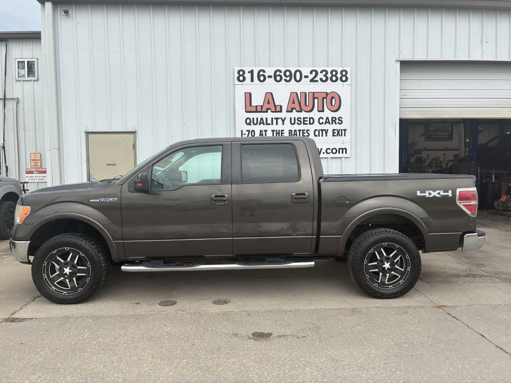 2009 Ford F-150 Image 1