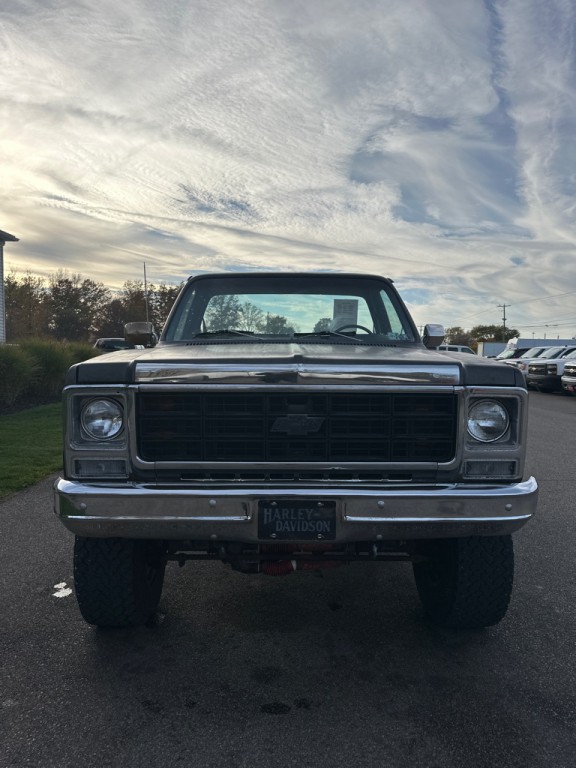 1979 Chevrolet Deluxe Image 3