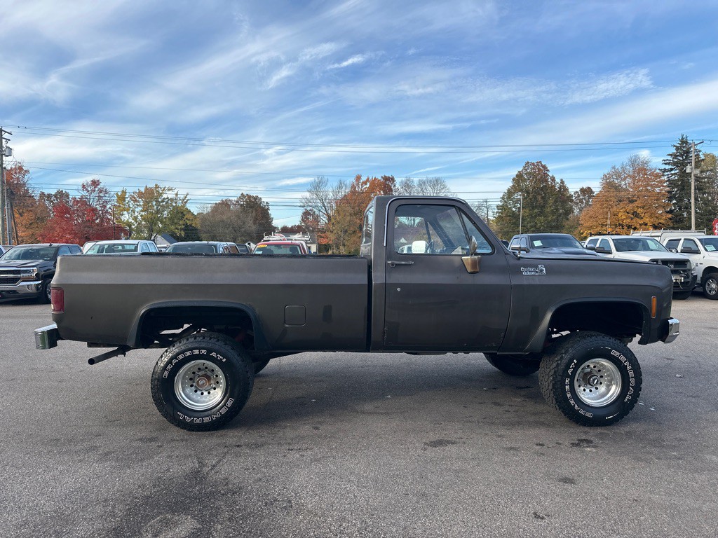 1979 Chevrolet Deluxe Image 5