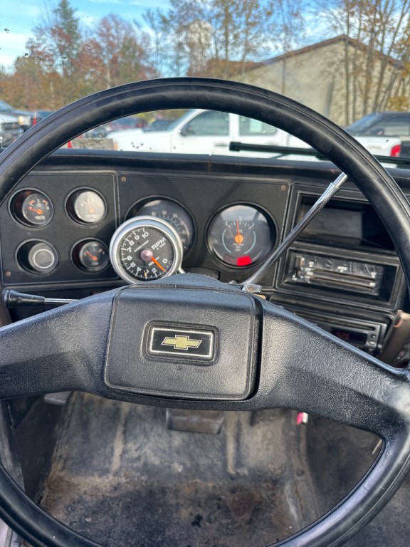 1979 Chevrolet Deluxe Image 10