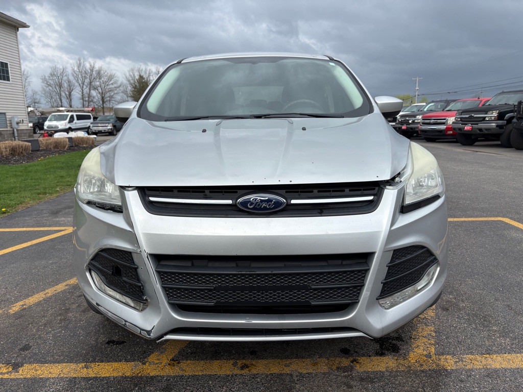 2014 Ford Escape Image 3