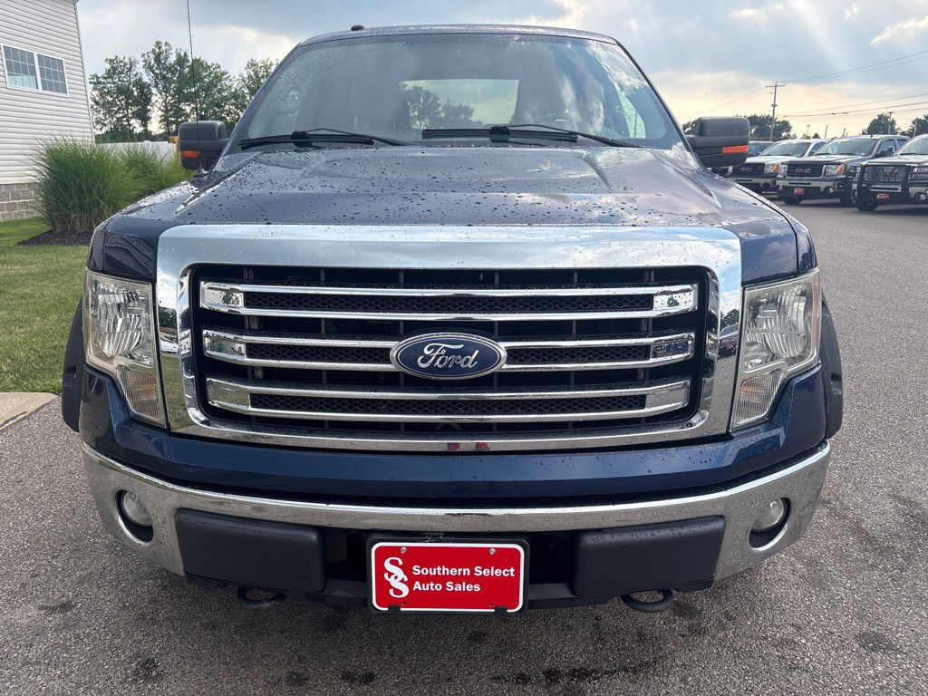 2010 Ford F-150 Image 3