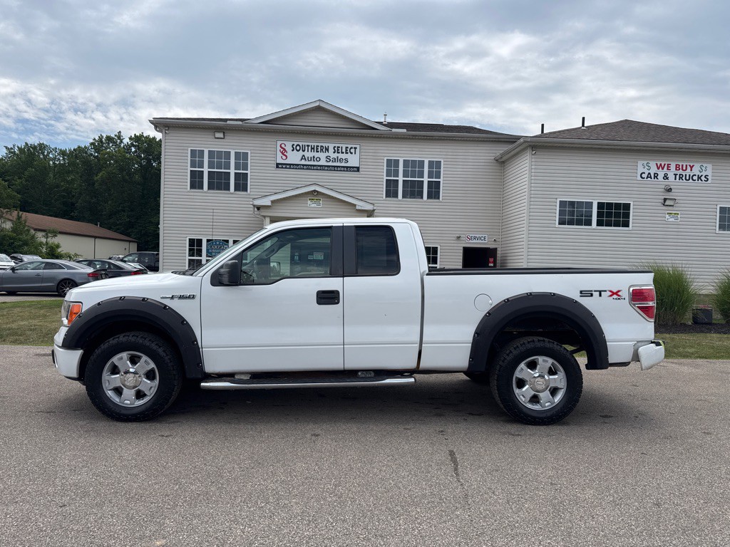 2010 Ford F-150 Image 1
