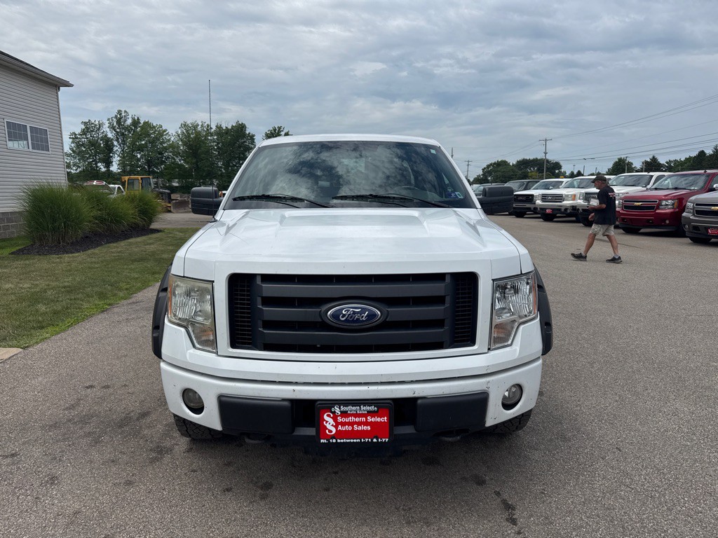 2010 Ford F-150 Image 3
