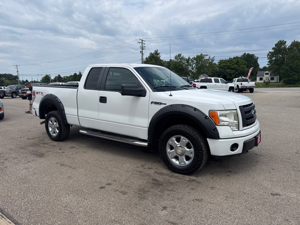 2010 Ford F-150 Image 4