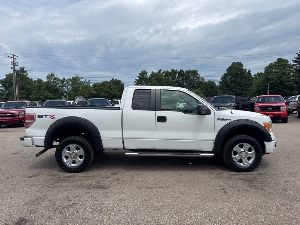 2010 Ford F-150 Image 5