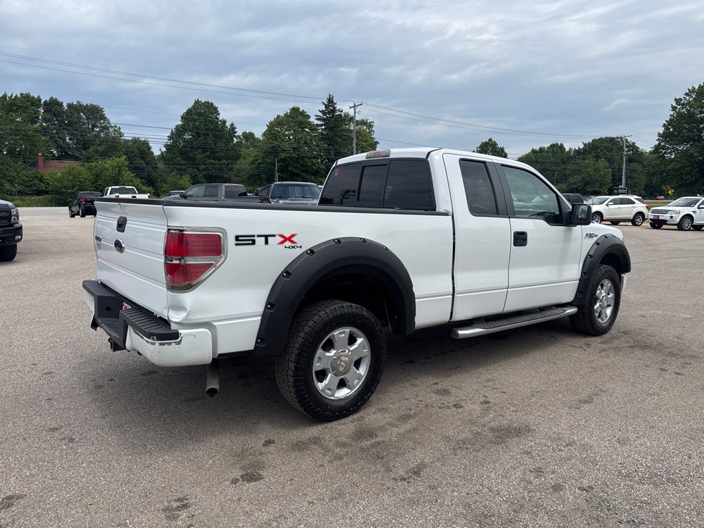 2010 Ford F-150 Image 6