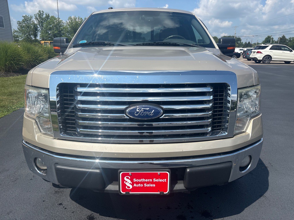 2010 Ford F-150 Image 3