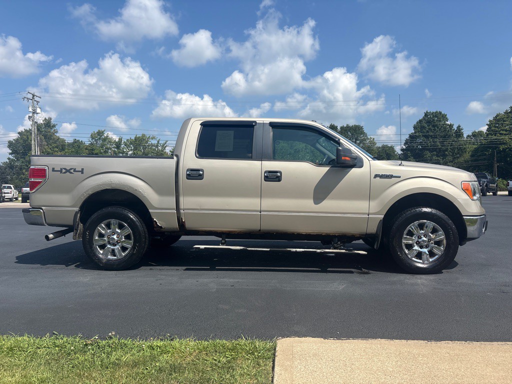 2010 Ford F-150 Image 5