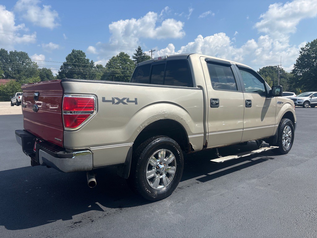 2010 Ford F-150 Image 6