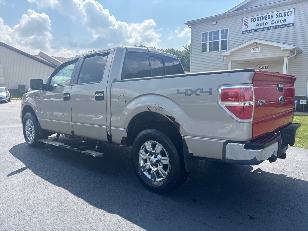 2010 Ford F-150 Image 8