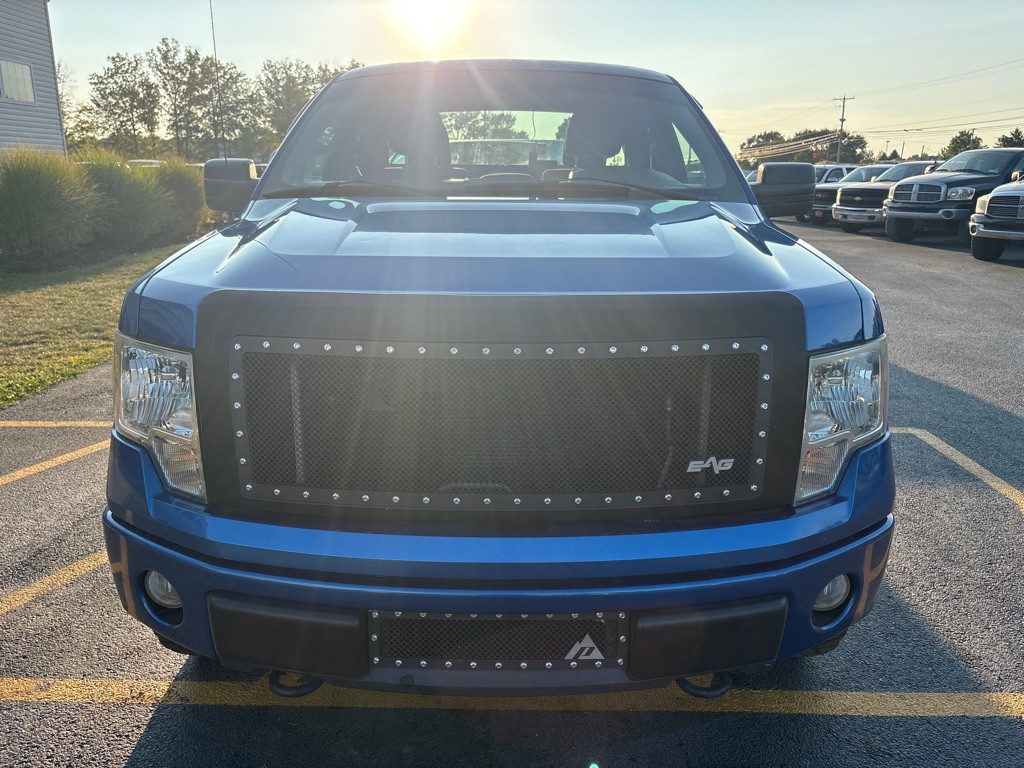 2010 Ford F-150 Image 3