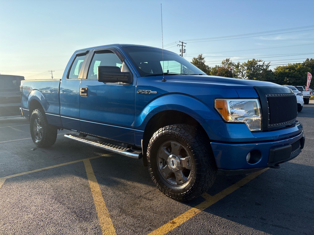 2010 Ford F-150 Image 4