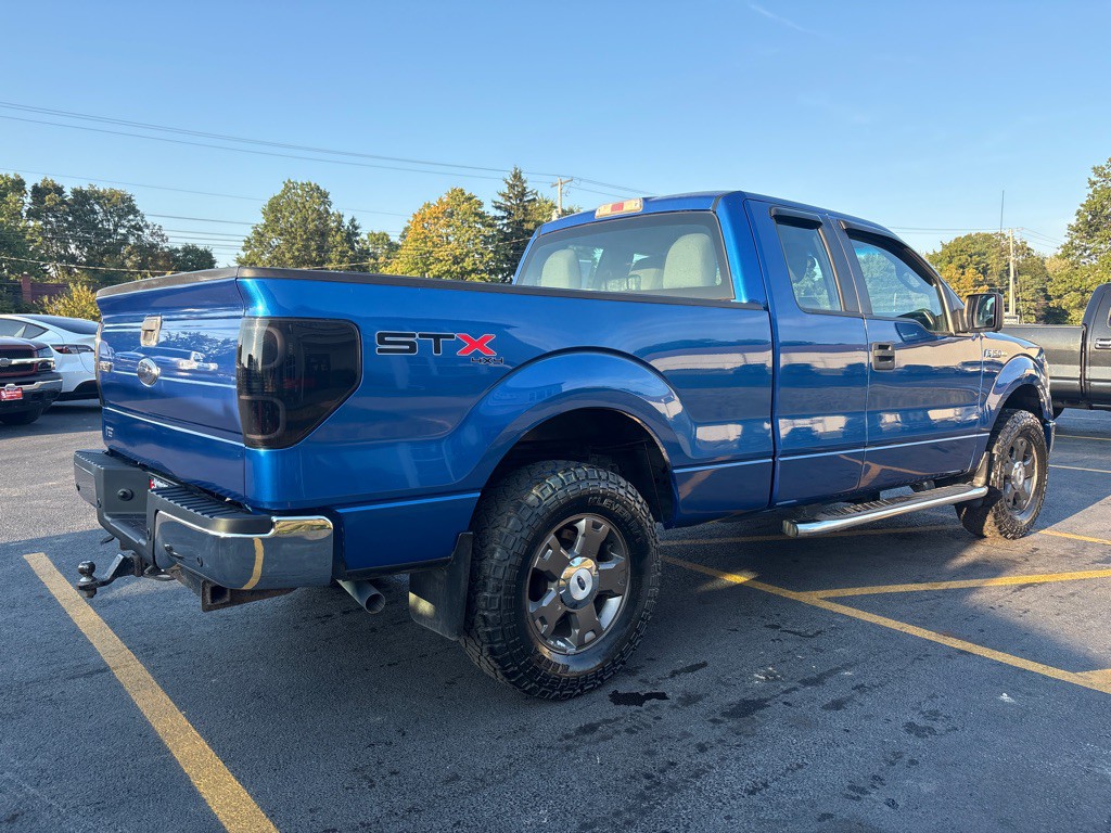 2010 Ford F-150 Image 6